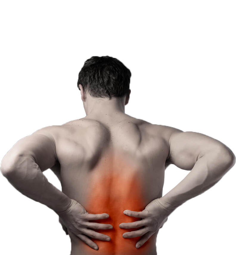 Dor na Região Lombar e Coluna Vertebral